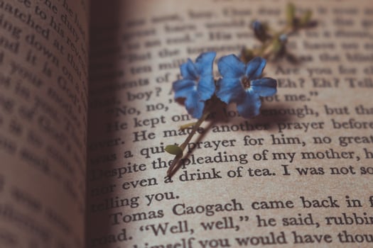 Tiny Purple Flowers In Old Vintage Book photo