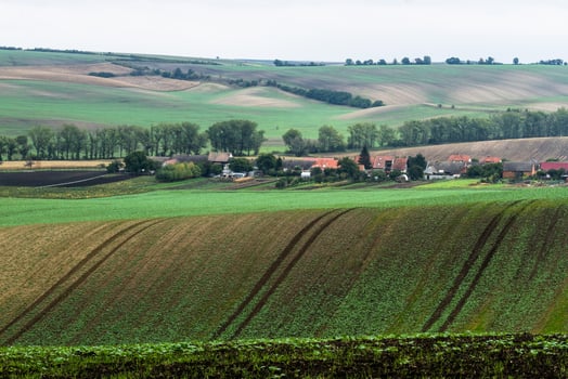 Autumn Landscape  in a Moravian Fields photo