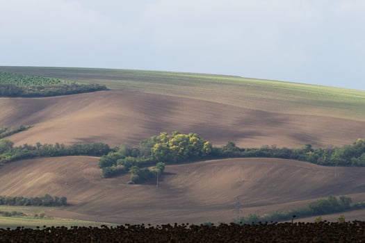 Autumn Landscape  in a Moravian Fields photo