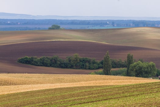Autumn Landscape  in a Moravian Fields photo