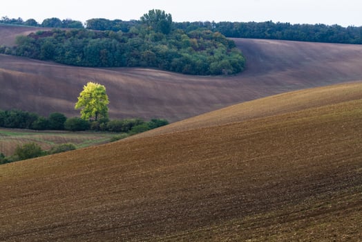 Autumn Landscape  in a Moravian Fields photo