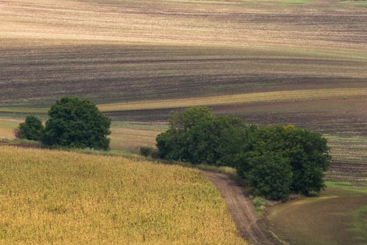 Autumn Landscape  in a Moravian Fields photo
