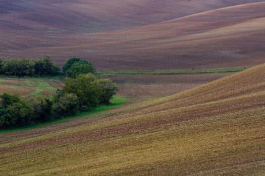 Autumn Landscape  in a Moravian Fields photo
