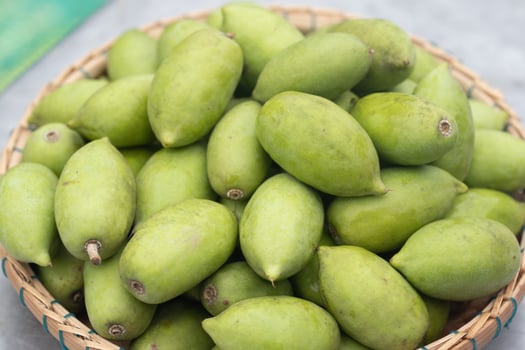 Fresh green Elaeocarpus hygrophilus Kurz in a basket photo