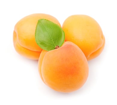 Sweet apricots fruits photo