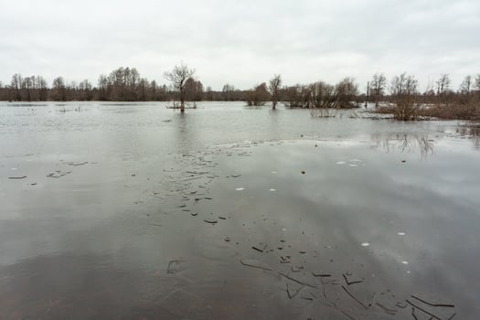 Soomaa National Park in Flooding photo