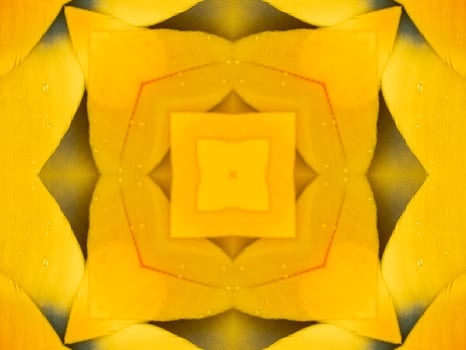Yellow feather kaleidoscope floral pattern with some blue and red color. Abstract unique and aesthetic background. photo