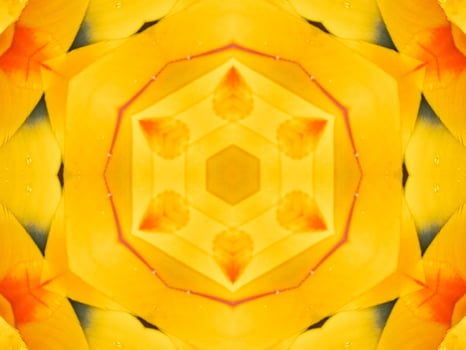 Yellow feather kaleidoscope floral pattern with some blue and red color. Abstract unique and aesthetic background. photo