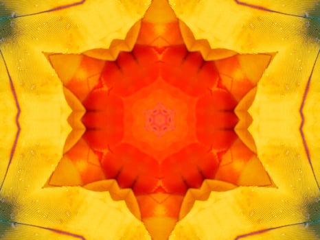 Yellow feather kaleidoscope floral pattern with some blue and red color. Abstract unique and aesthetic background. photo