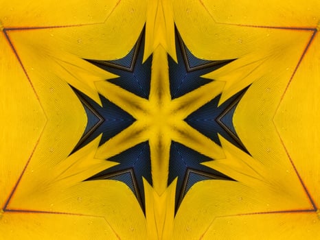 Yellow feather kaleidoscope floral pattern with some blue and red color. Abstract unique and aesthetic background. photo