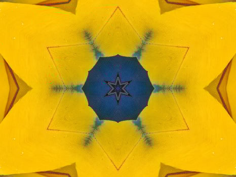 Yellow feather kaleidoscope floral pattern with some blue and red color. Abstract unique and aesthetic background. photo