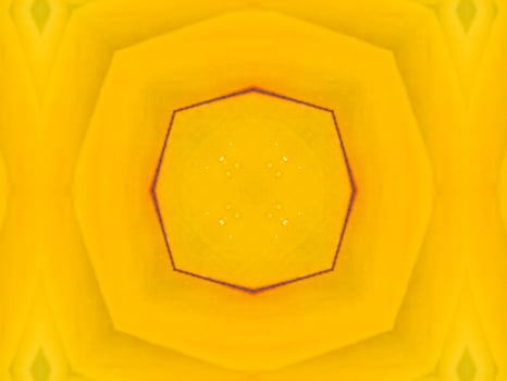 Yellow feather kaleidoscope floral pattern with some blue and red color. Abstract unique and aesthetic background. photo