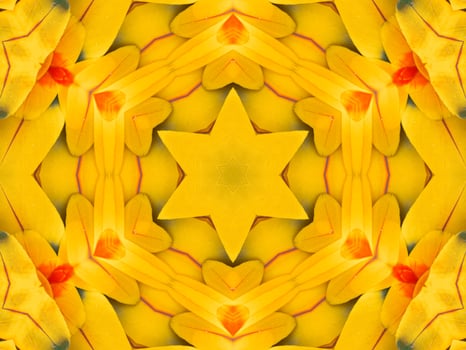Yellow feather kaleidoscope floral pattern with some blue and red color. Abstract unique and aesthetic background. photo