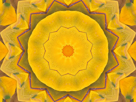 Yellow feather kaleidoscope floral pattern with some blue and red color. Abstract unique and aesthetic background. photo