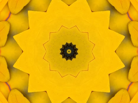 Yellow feather kaleidoscope floral pattern with some blue and red color. Abstract unique and aesthetic background. photo
