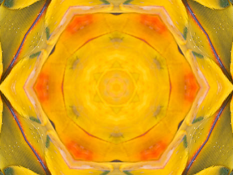 Yellow feather kaleidoscope floral pattern with some blue and red color. Abstract unique and aesthetic background. photo
