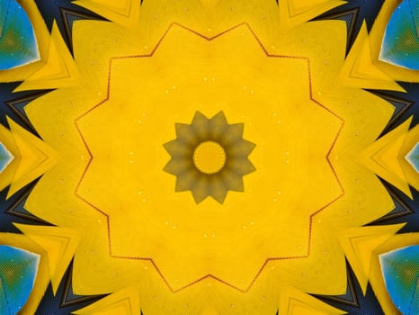 Yellow feather kaleidoscope floral pattern with some blue and red color. Abstract unique and aesthetic background. photo