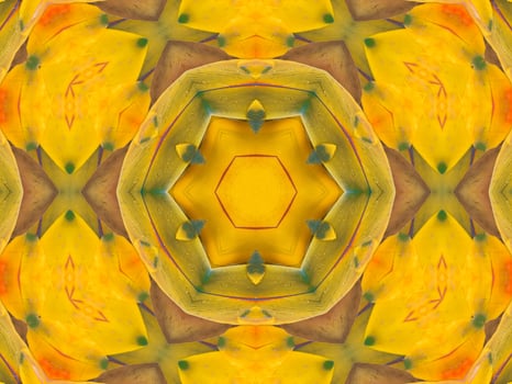 Yellow feather kaleidoscope floral pattern with some blue and red color. Abstract unique and aesthetic background. photo