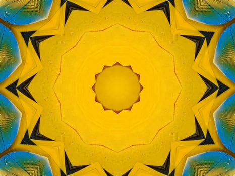 Yellow feather kaleidoscope floral pattern with some blue and red color. Abstract unique and aesthetic background. photo