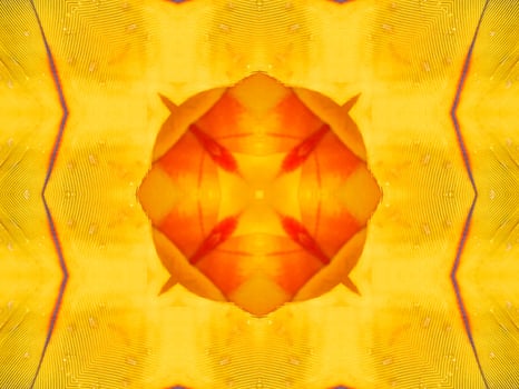 Yellow feather kaleidoscope floral pattern with some blue and red color. Abstract unique and aesthetic background. photo