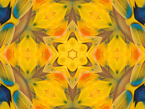Yellow feather kaleidoscope floral pattern with some blue and red color. Abstract unique and aesthetic background. photo