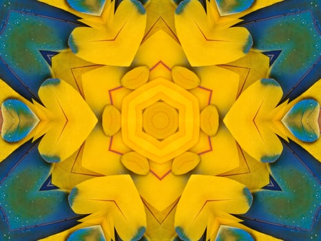 Yellow feather kaleidoscope floral pattern with some blue and red color. Abstract unique and aesthetic background. photo
