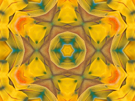 Yellow feather kaleidoscope floral pattern with some blue and red color. Abstract unique and aesthetic background. photo