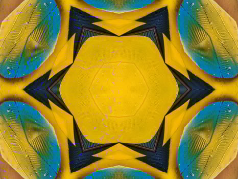 Yellow feather kaleidoscope floral pattern with some blue and red color. Abstract unique and aesthetic background. photo