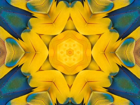Yellow feather kaleidoscope floral pattern with some blue and red color. Abstract unique and aesthetic background. photo