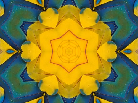 Yellow feather kaleidoscope floral pattern with some blue and red color. Abstract unique and aesthetic background. photo