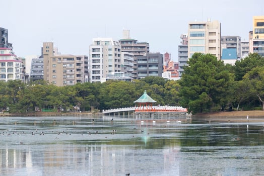 view of city town skyline over the pond lake natural view under daytime in japan, big city with natural lake public photo