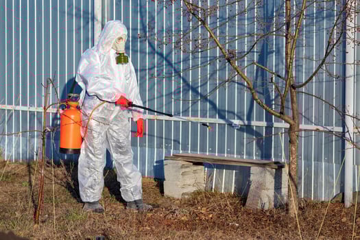 Gardener sprinkling insectecide on an apple tree photo