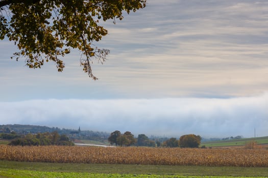 village with a church and fields with trees and a huge white wall of fog photo