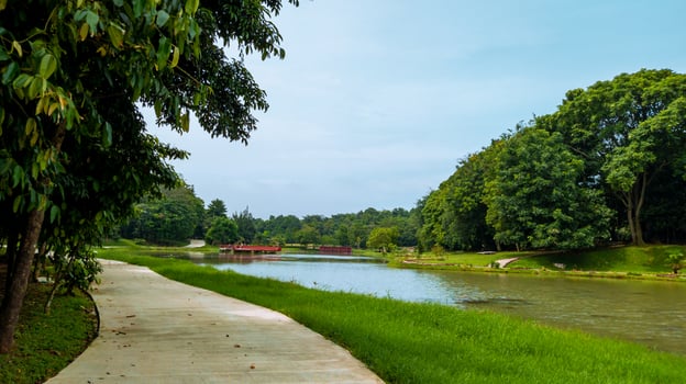 beautiful natural lanscape scenery, lake with wooden bridge, nature wallpaper, landscape background photo