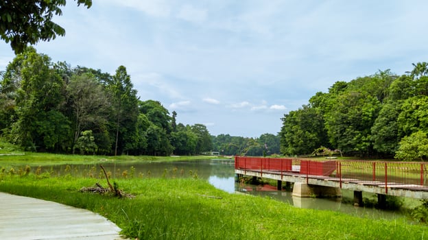 beautiful natural lanscape scenery, lake with wooden bridge, nature wallpaper, landscape background photo