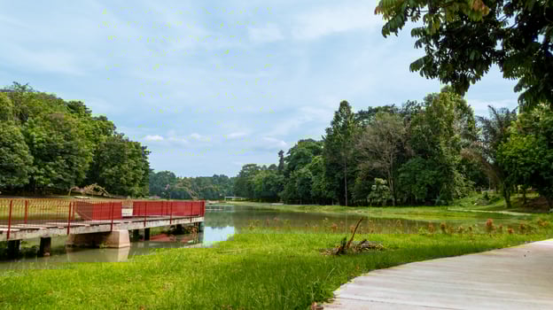beautiful natural lanscape scenery, lake with wooden bridge, nature wallpaper, landscape background photo