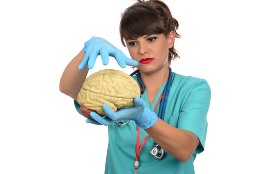 Female doctor holding a human brain model against white background photo