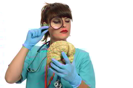 Female doctor holding a human brain model against white background photo