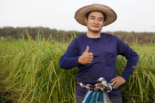 Handsome Asian man farmer wears hat, blue shirt, put hand on hip, thumbs up, stands at paddy field. Concept, agriculture occupation, farmer grow organic rice. photo