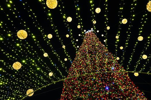 Christmas tree glows on the square in the city. Evening, night illumination photo