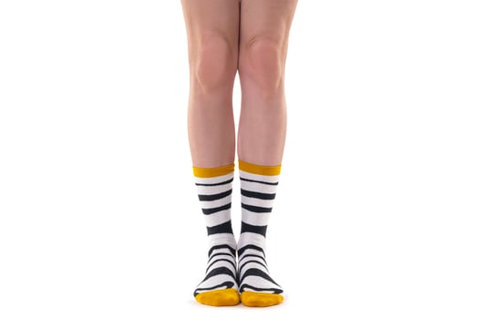 Female legs wearing  stripe socks. photo