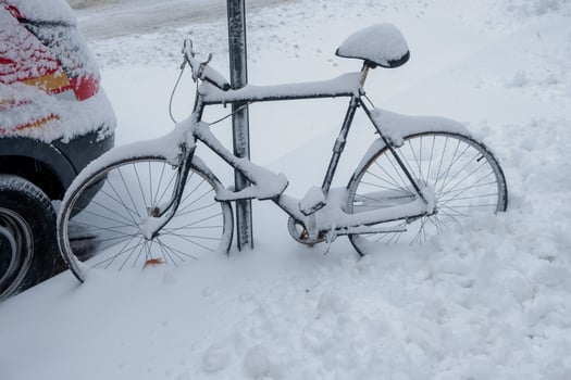Snow in Brooklyn photo