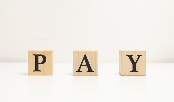 word pay on wooden blocks on white background photo
