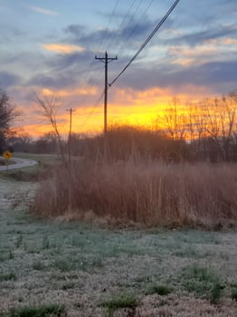 Morning in the Country photo