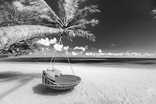 Tropical beach background as summer landscape with beach swing or hammock and white sand and calm sea for beach banner. Perfect beach scene vacation and summer holiday concept. Black and white process photo
