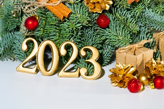 New year 2023 holidays card photo