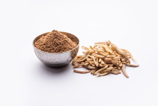 Ayurvedic Potent herb musli or safed moosli photo