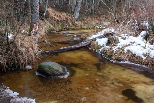 A Small Rocky Forest River in Winter photo