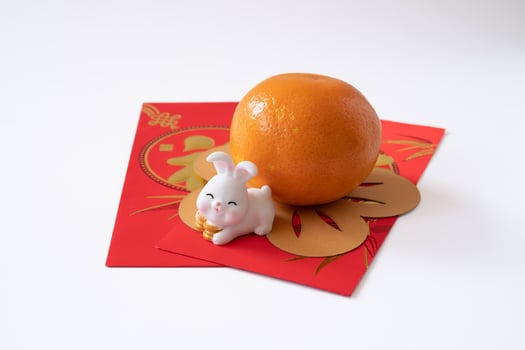 Chinese New Year of the rabbit festival concept. Mandarin orange,  rabbit and gold ingot isolated on white background. photo