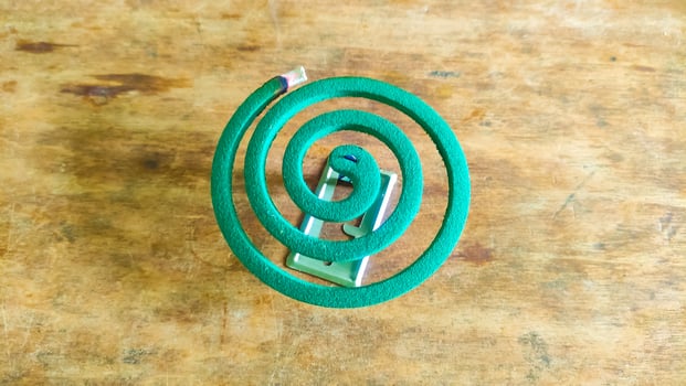 spiral-shaped mosquito coils photo